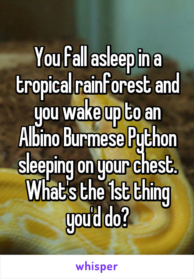 You fall asleep in a tropical rainforest and you wake up to an Albino Burmese Python sleeping on your chest. What's the 1st thing you'd do?