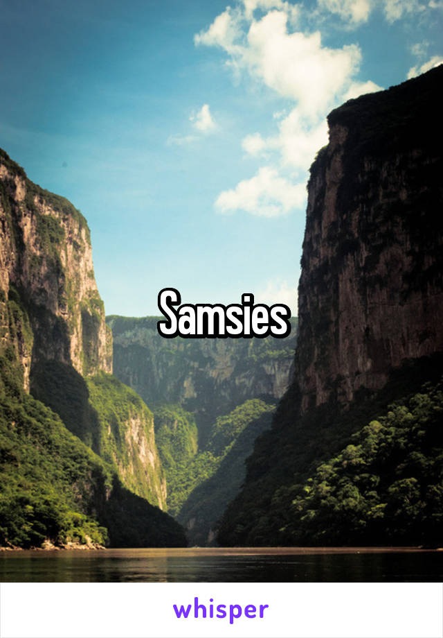 Samsies