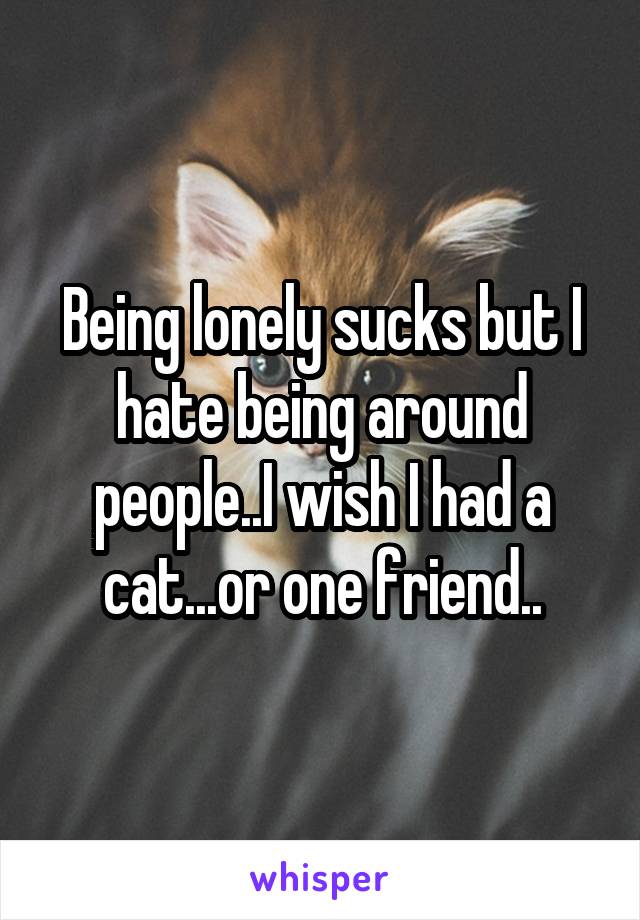 Being lonely sucks but I hate being around people..I wish I had a cat...or one friend..