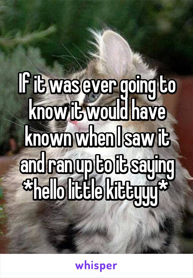 If it was ever going to know it would have known when I saw it and ran up to it saying *hello little kittyyy* 