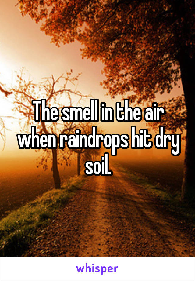 The smell in the air when raindrops hit dry soil.