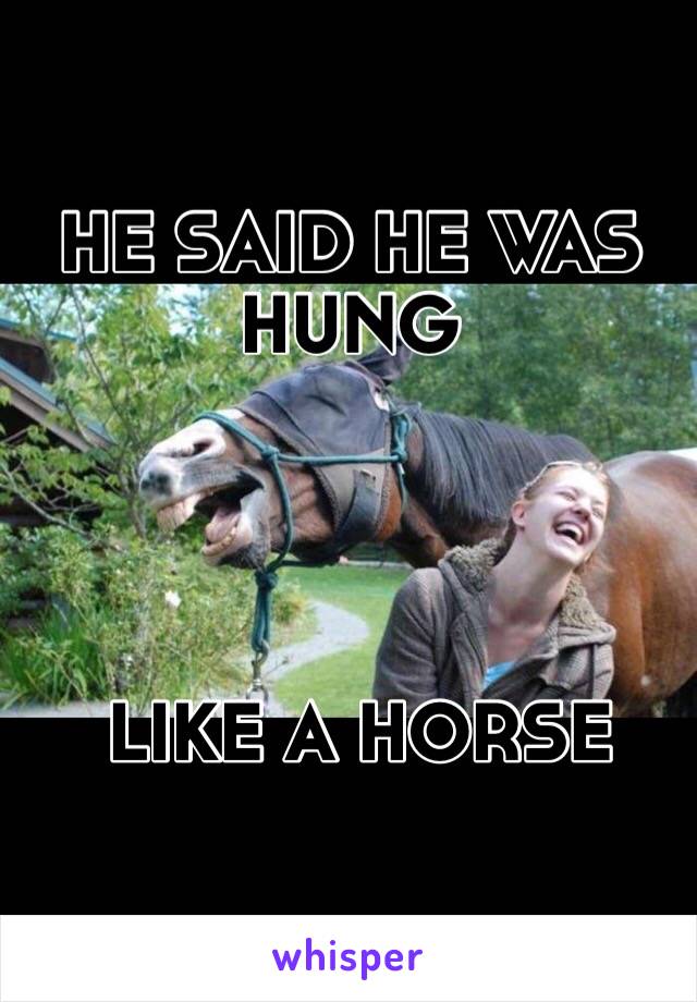 HE SAID HE WAS HUNG




 LIKE A HORSE