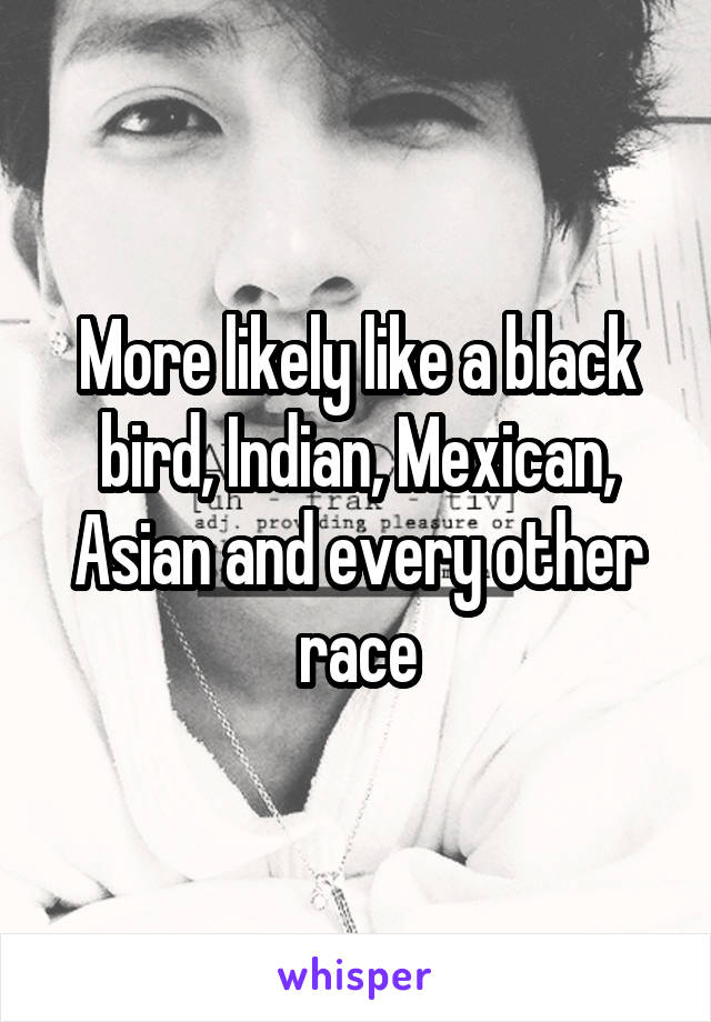 More likely like a black bird, Indian, Mexican, Asian and every other race