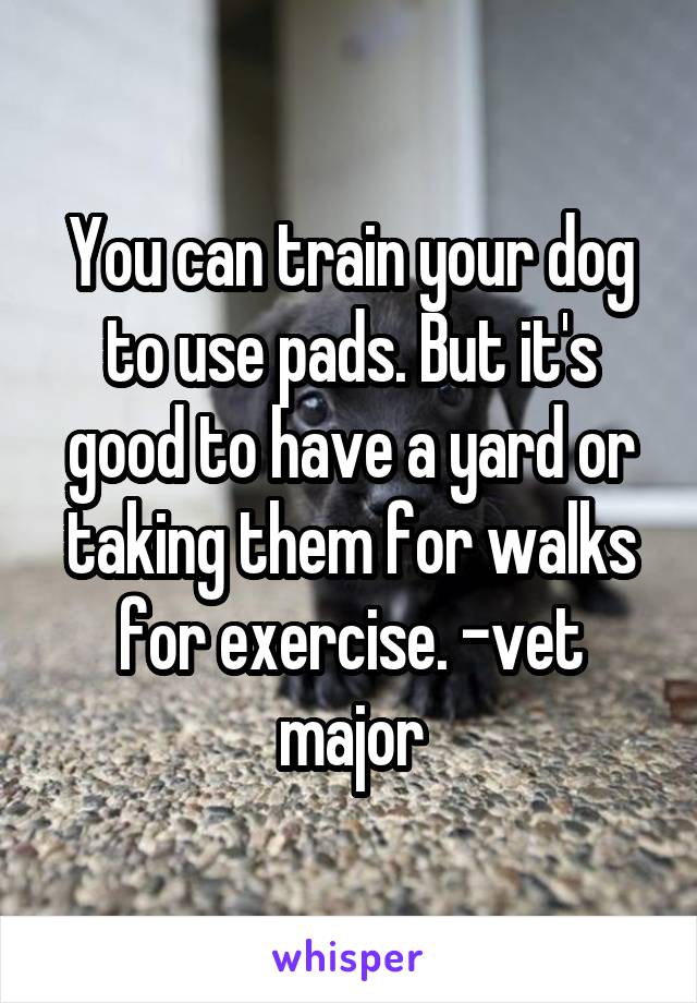 You can train your dog to use pads. But it's good to have a yard or taking them for walks for exercise. -vet major