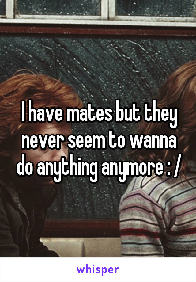 I have mates but they never seem to wanna do anything anymore : /