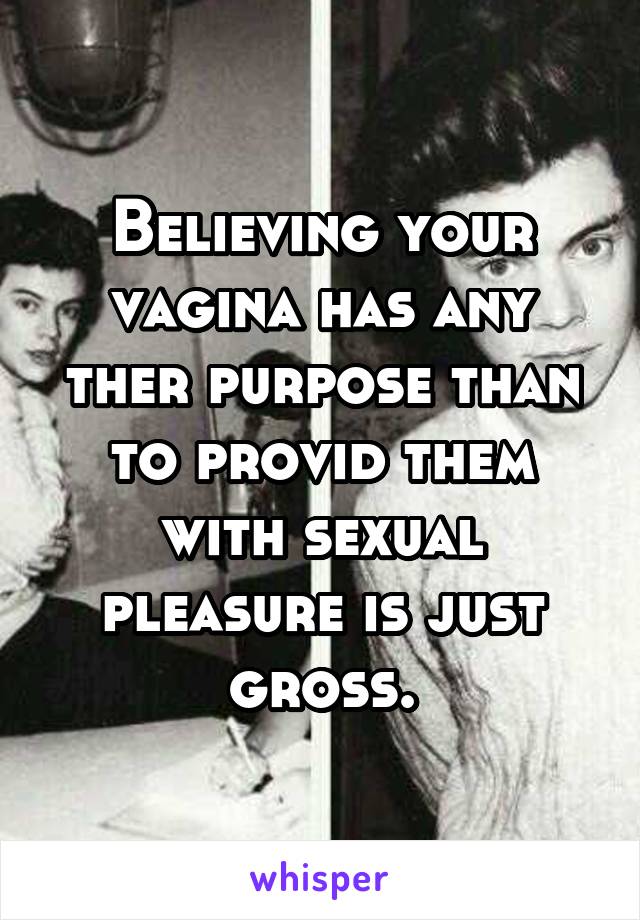 Believing your vagina has any ther purpose than to provid them with sexual pleasure is just gross.