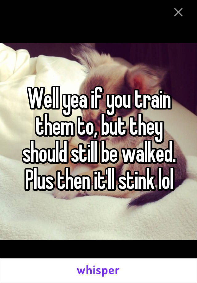 Well yea if you train them to, but they should still be walked. Plus then it'll stink lol