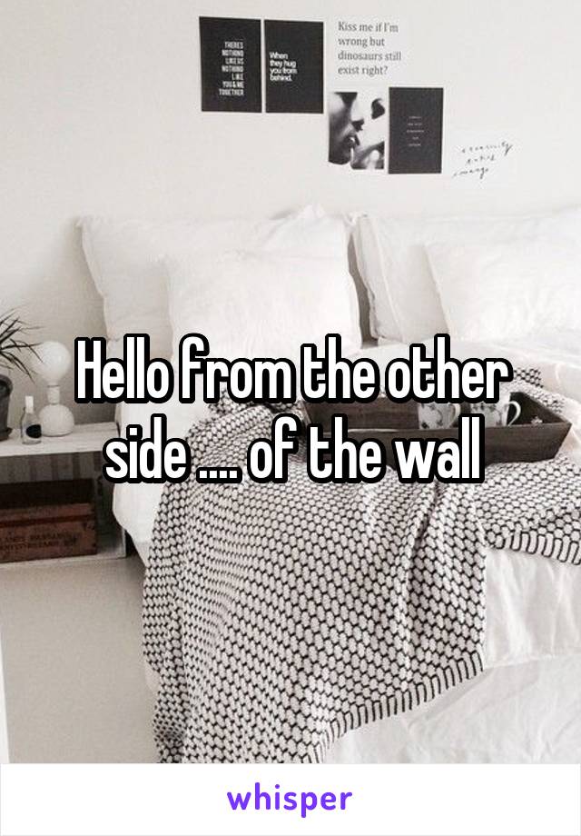 Hello from the other side .... of the wall