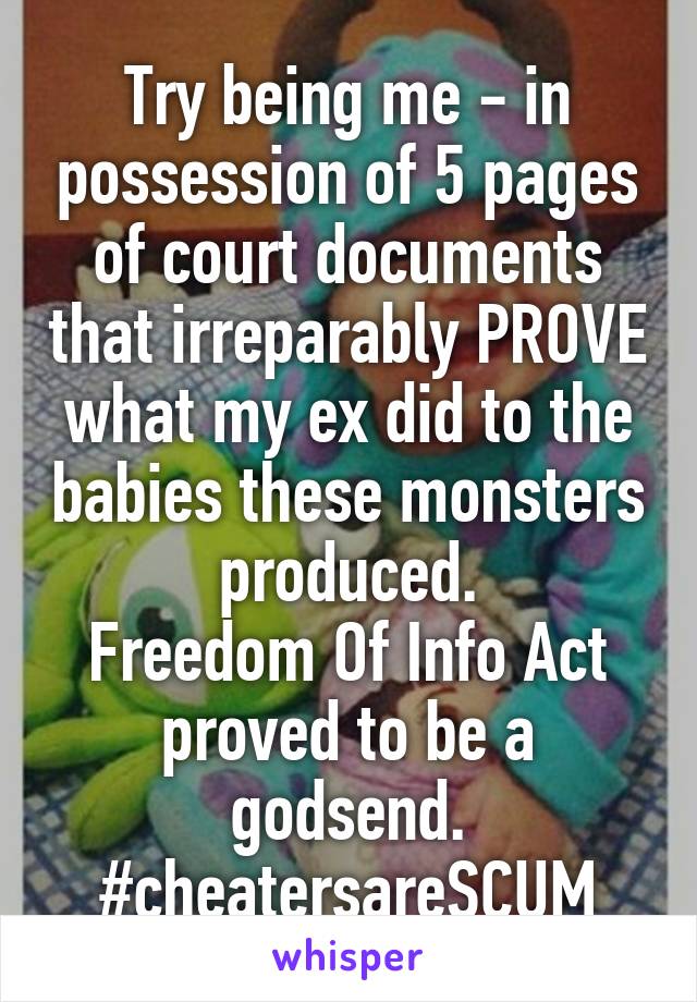 Try being me - in possession of 5 pages of court documents that irreparably PROVE what my ex did to the babies these monsters produced.
Freedom Of Info Act proved to be a godsend.
#cheatersareSCUM