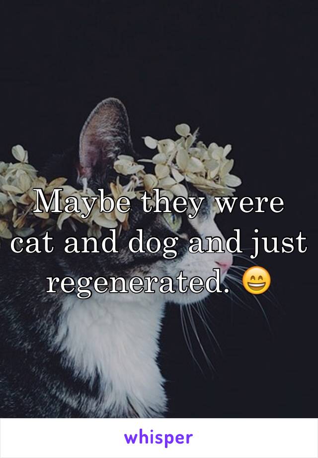 Maybe they were cat and dog and just regenerated. 😄