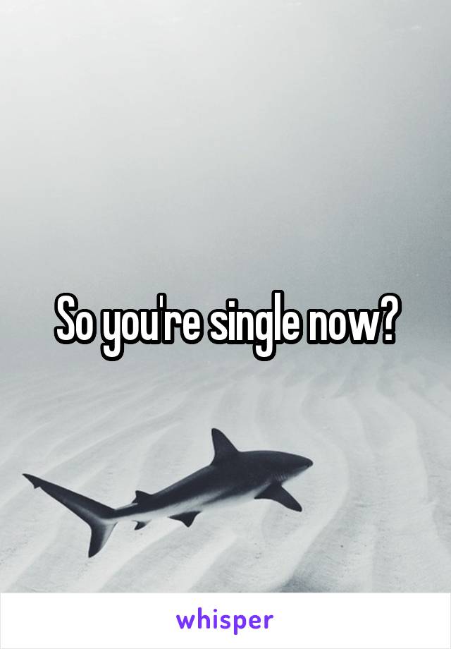 So you're single now?