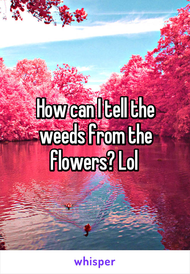 How can I tell the weeds from the flowers? Lol 