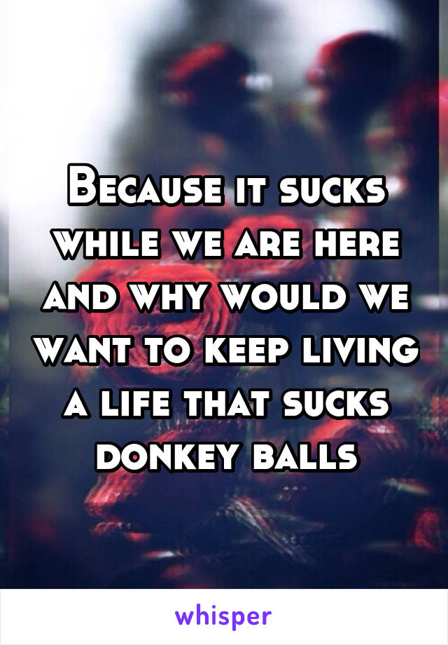 Because it sucks while we are here and why would we want to keep living a life that sucks donkey balls