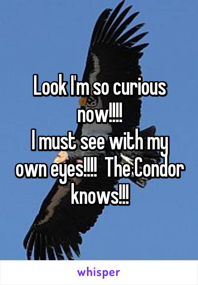 Look I'm so curious now!!!!
I must see with my own eyes!!!!  The Condor knows!!!