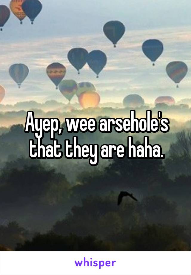 Ayep, wee arsehole's that they are haha.