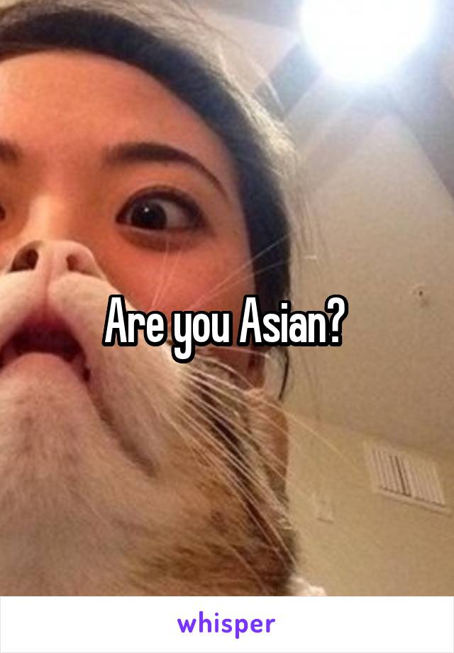 Are you Asian? 