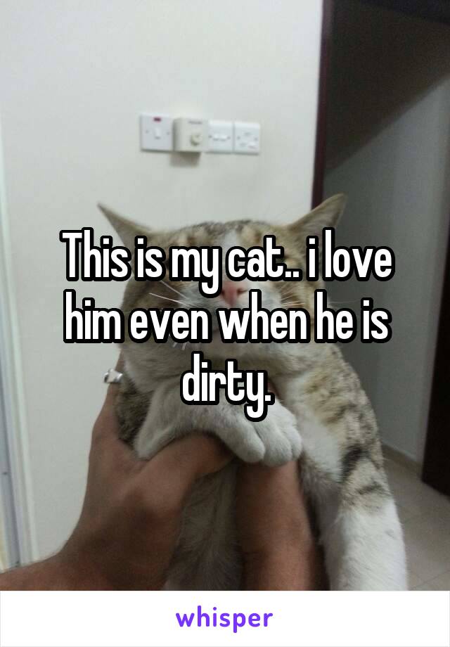 This is my cat.. i love him even when he is dirty.