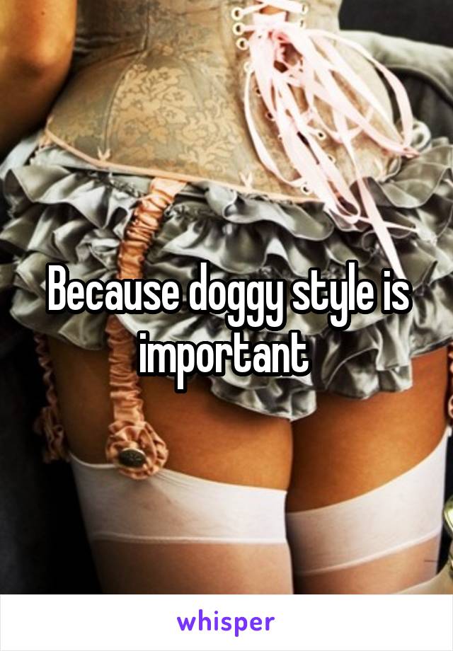 Because doggy style is important 