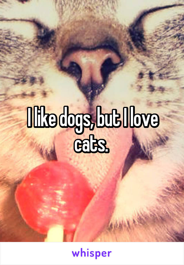 I like dogs, but I love cats. 