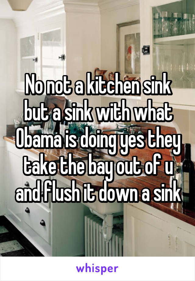 No not a kitchen sink but a sink with what Obama is doing yes they take the bay out of u and flush it down a sink