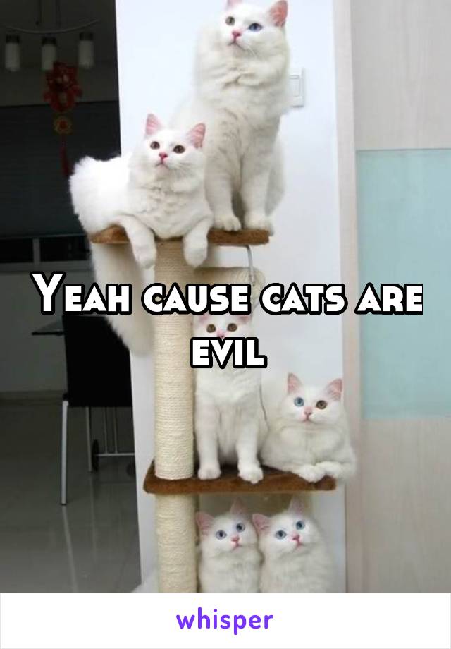 Yeah cause cats are evil