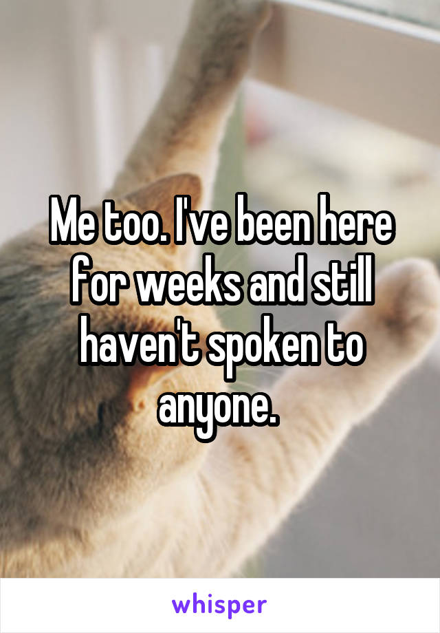 Me too. I've been here for weeks and still haven't spoken to anyone. 