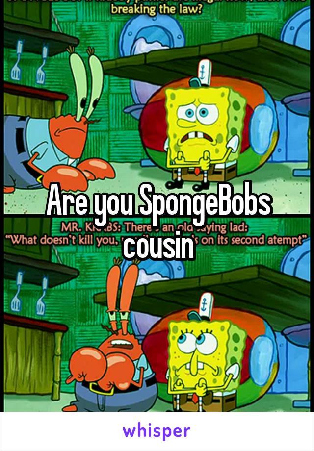 Are you SpongeBobs cousin