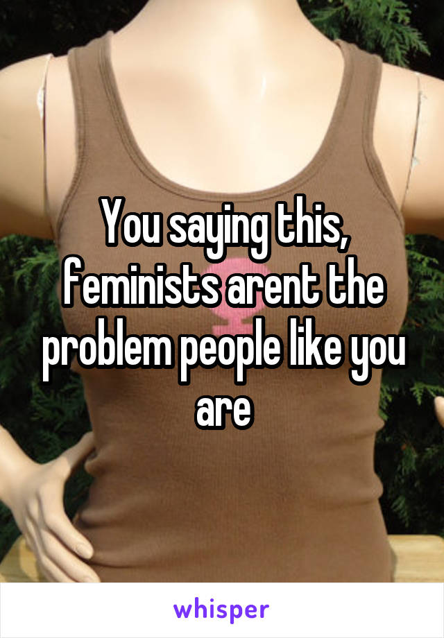 You saying this, feminists arent the problem people like you are