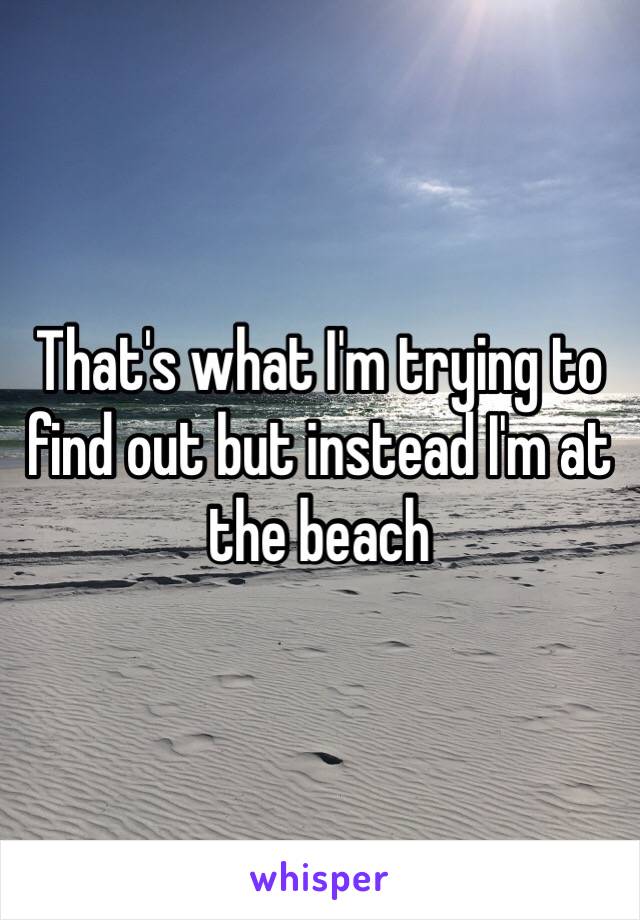 That's what I'm trying to find out but instead I'm at the beach 
