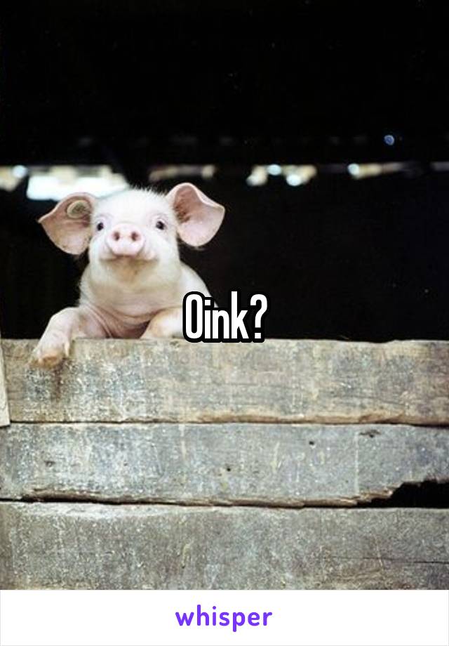 Oink?