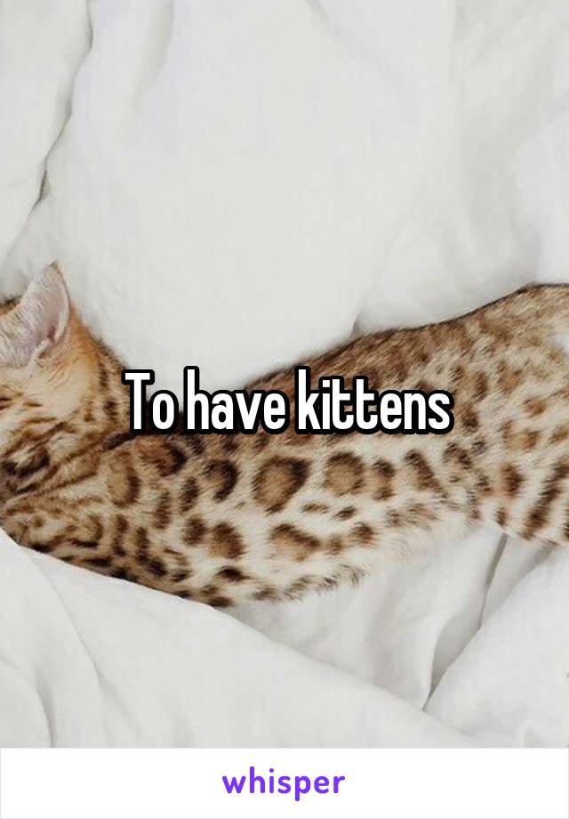 To have kittens