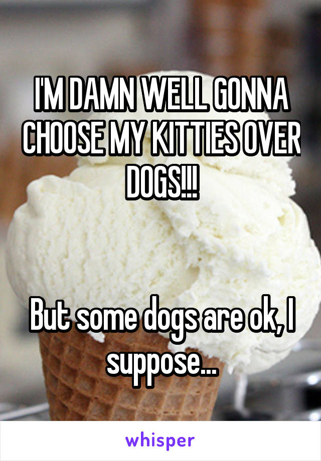 I'M DAMN WELL GONNA CHOOSE MY KITTIES OVER DOGS!!!


But some dogs are ok, I suppose...