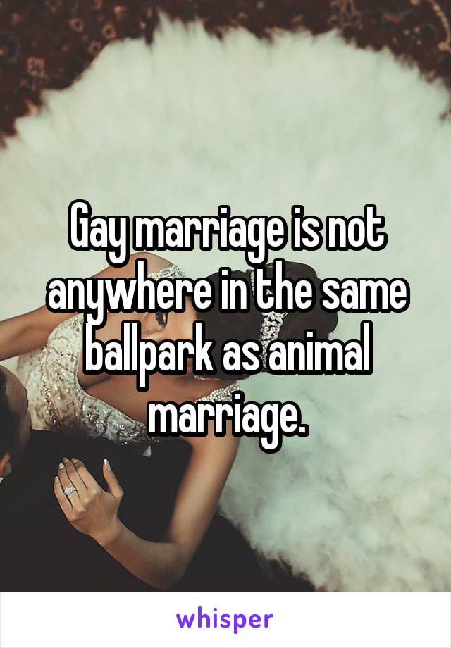 Gay marriage is not anywhere in the same ballpark as animal marriage.