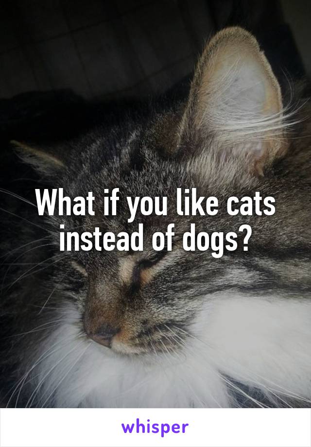 What if you like cats instead of dogs?