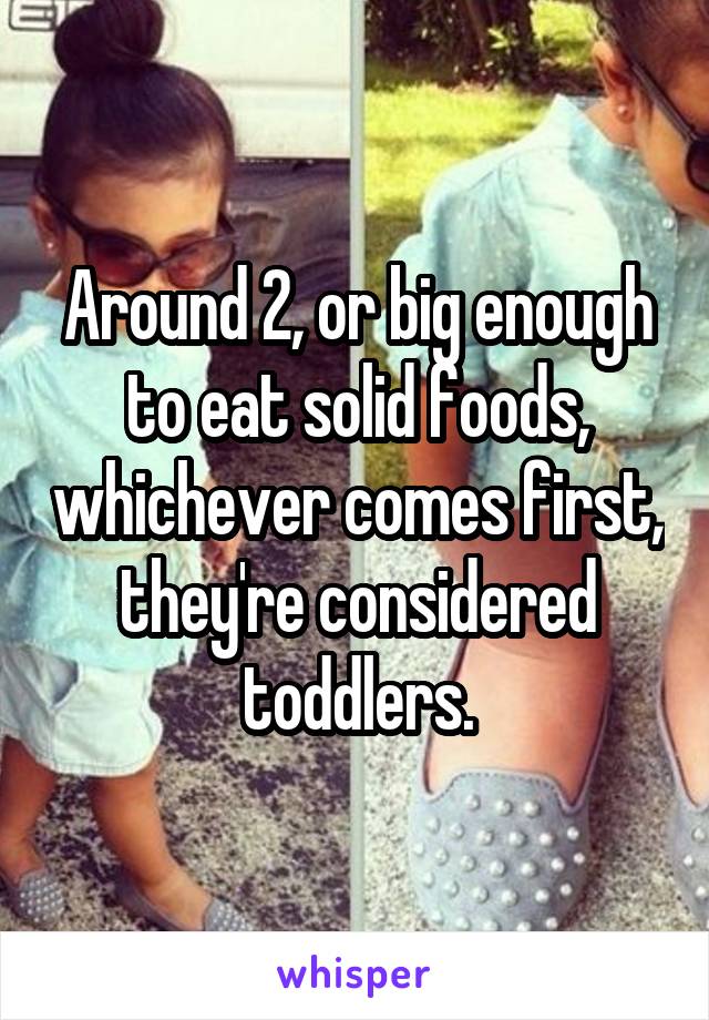 Around 2, or big enough to eat solid foods, whichever comes first, they're considered toddlers.