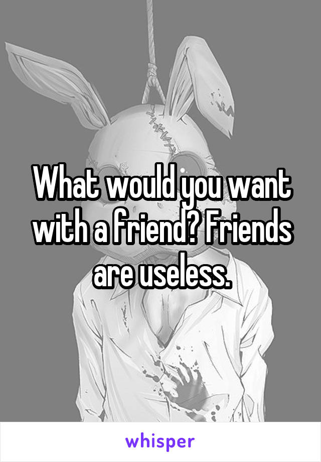 What would you want with a friend? Friends are useless.