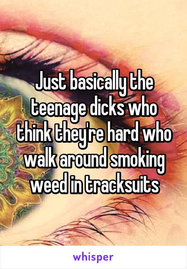 Just basically the teenage dicks who think they're hard who walk around smoking weed in tracksuits