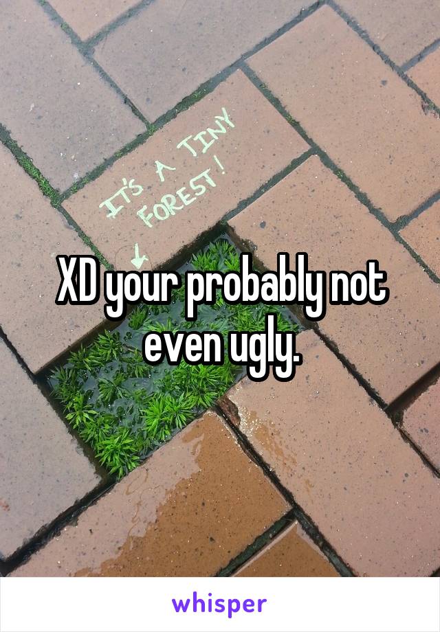 XD your probably not even ugly.