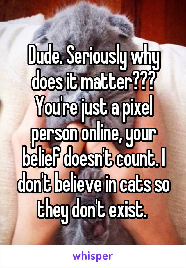 Dude. Seriously why does it matter??? You're just a pixel person online, your belief doesn't count. I don't believe in cats so they don't exist. 