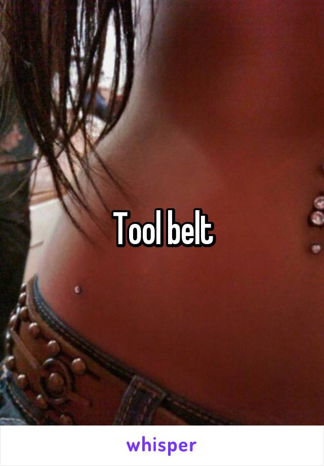 Tool belt