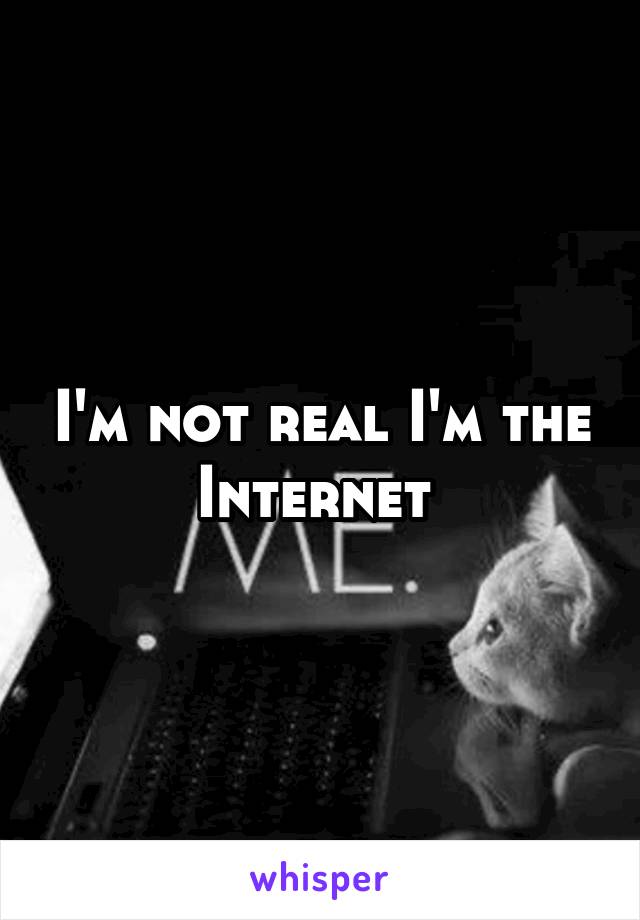 I'm not real I'm the Internet 