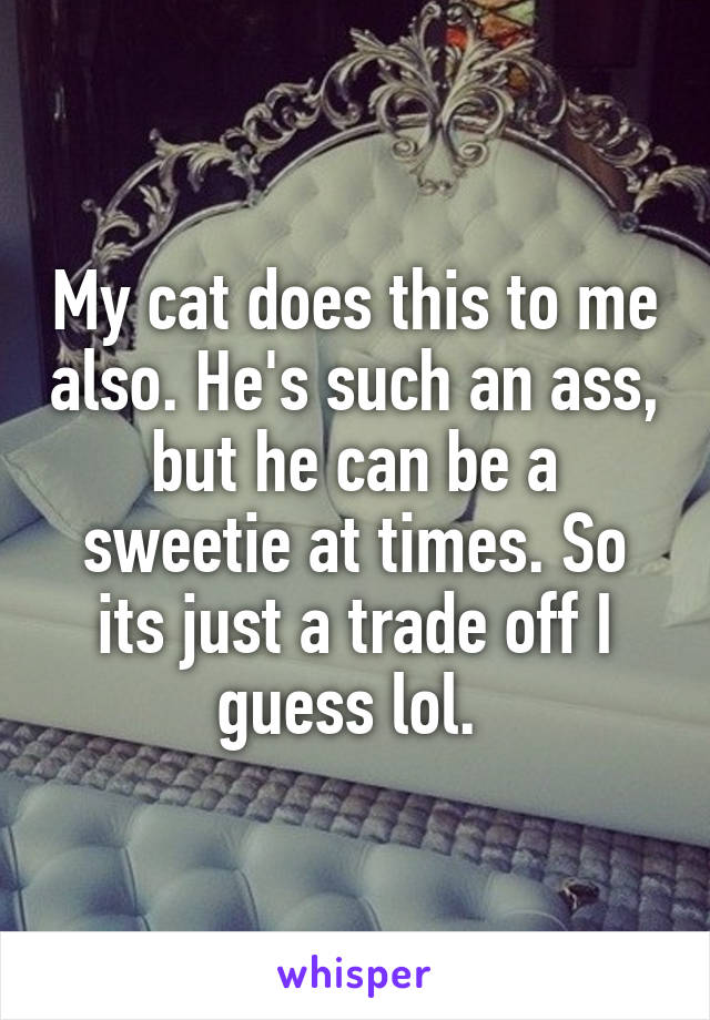 My cat does this to me also. He's such an ass, but he can be a sweetie at times. So its just a trade off I guess lol. 