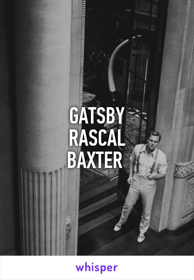 GATSBY
RASCAL
BAXTER 