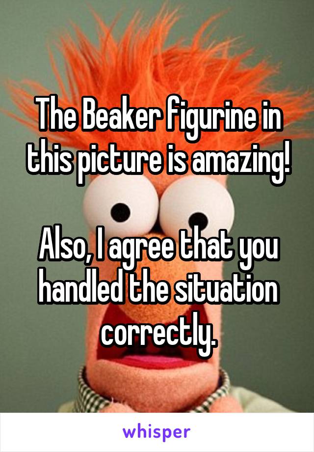 The Beaker figurine in this picture is amazing!

Also, I agree that you handled the situation correctly.