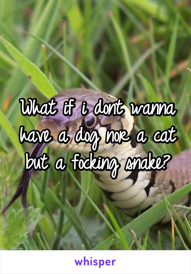 What if i dont wanna have a dog nor a cat but a focking snake?