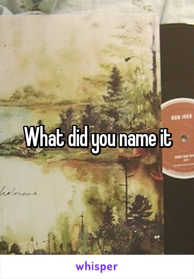 What did you name it