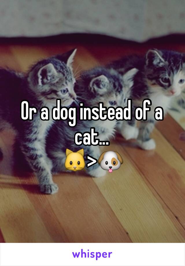 Or a dog instead of a cat...
🐱>🐶