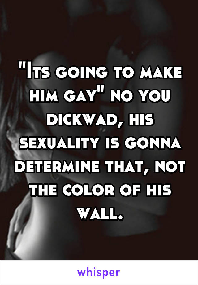 "Its going to make him gay" no you dickwad, his sexuality is gonna determine that, not the color of his wall.