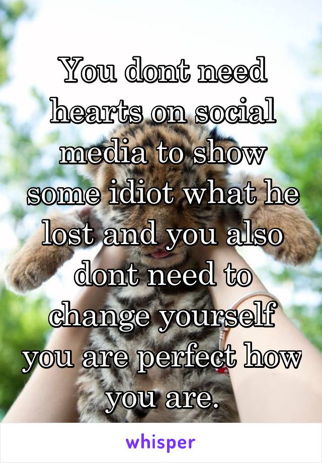 You dont need hearts on social media to show some idiot what he lost and you also dont need to change yourself you are perfect how you are.