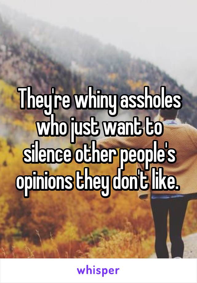 They're whiny assholes who just want to silence other people's opinions they don't like. 